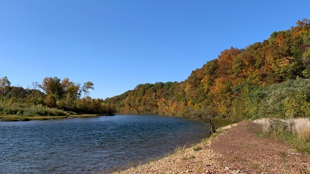 Envision your float trip along serene Ozark rivers as you plan your adventure.