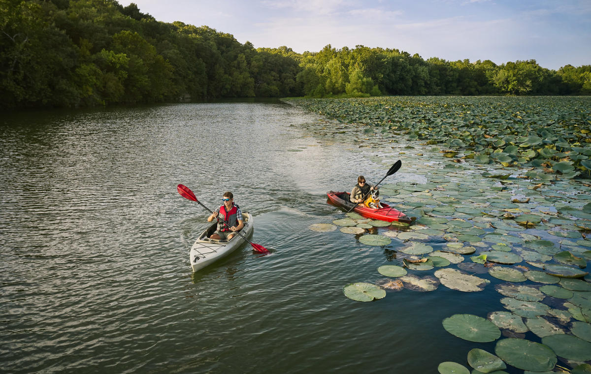 Explore the Top Lakes for Recreational Activities in Springfield, Missouri This Summer