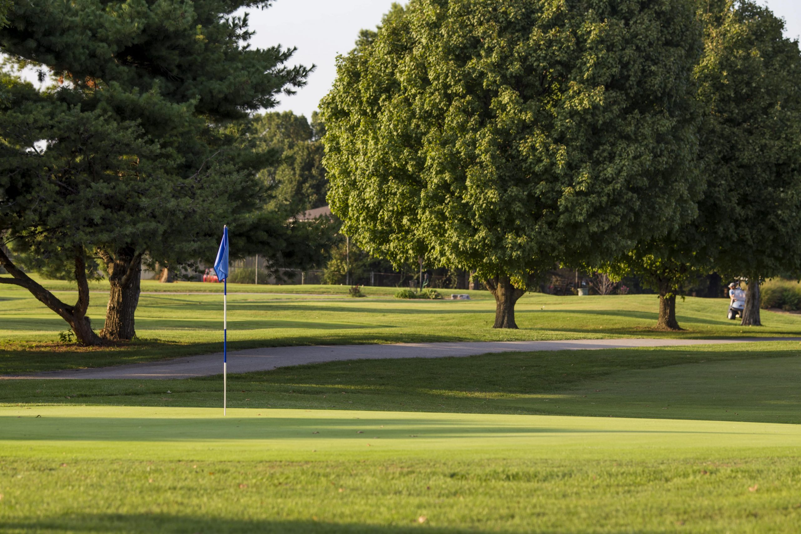 Clubhouse comforts: Where golf and relaxation meet in Springfield's public courses.