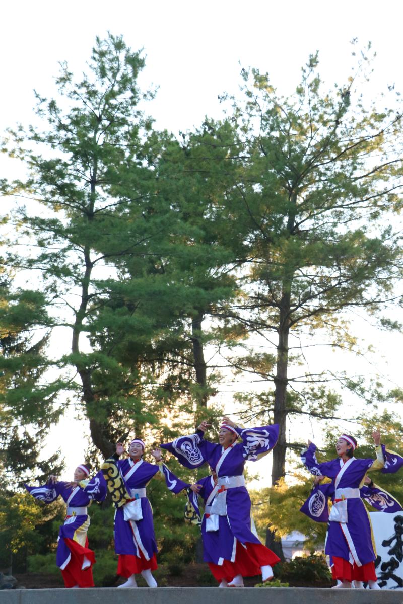 The Japanese Fall Festival: A glimpse into the cultural richness awaiting at the Ozarks' fall celebrations.